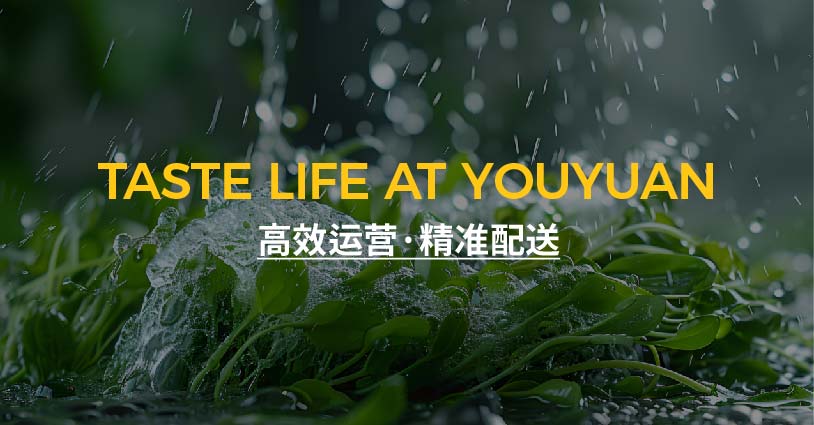 高效运营·精准配送